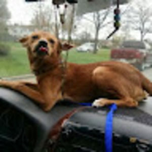 Meet your Posher, Diane